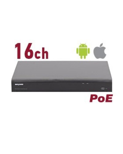 RK2216-P. Видеорегистратор IP 16-канальный. Beward в Грозном