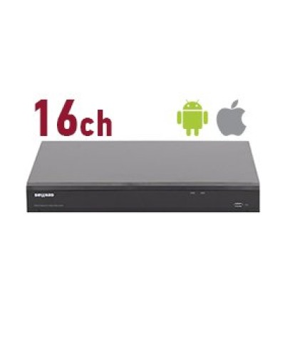 RK2216. Видеорегистратор IP 16-канальный. Beward в Грозном