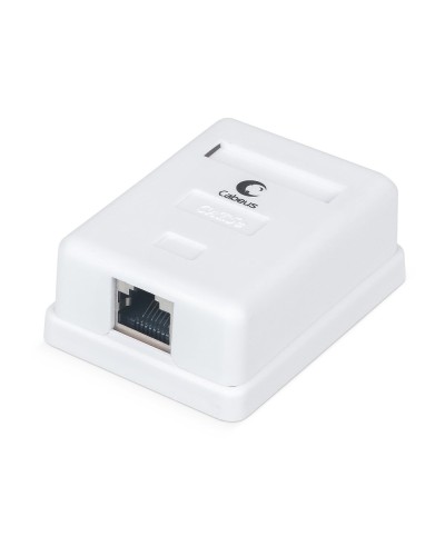 WS-8P8C-Cat.5e-SH-1 (7485c): Розетка RJ-45 в Грозном