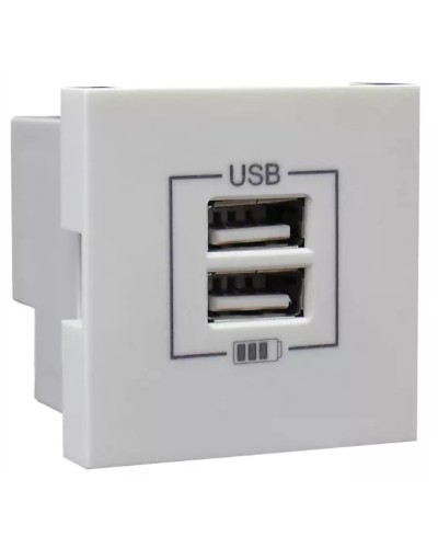 Розетка USB двойная, зарядная, белая (45439 SBR): Розетка USB двойная в Грозном