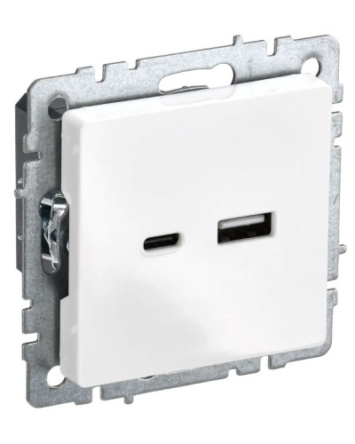 Розетка USB A+C 18Вт РЮ11-1-БрБ белый BRITE (BR-U22-018-K01). Розетка USB. IEK в Грозном
