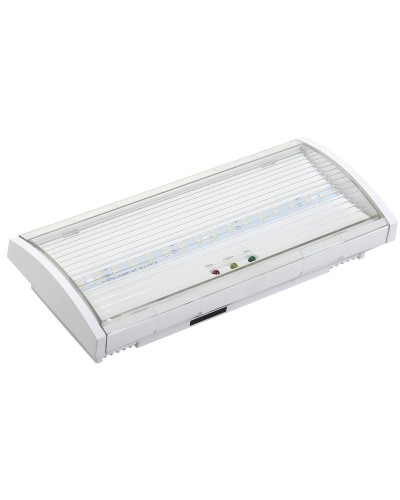 Светильник аварийный ДПА 5040-3 3ч IP54 LIGHTING (LDPA0-5040-3H-K01). Светильник аварийный постоянного действия. IEK в Грозном