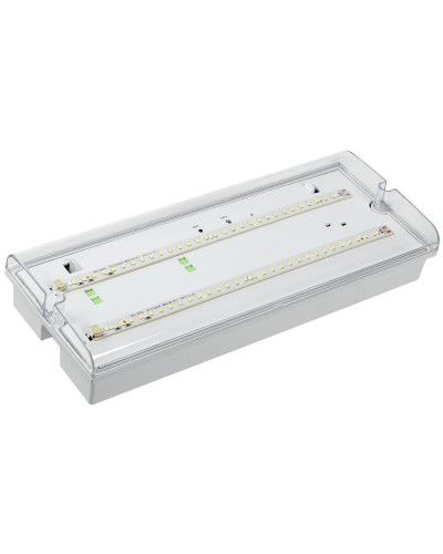 Светильник аварийный ДПА 5042-1 1ч IP65 LIGHTING (LDPA0-5042-1-65-K01). Светильник аварийный универсальный. IEK в Грозном