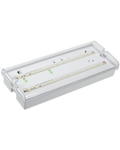 Светильник аварийный ДПА 5042-3 3ч IP65 LIGHTING (LDPA0-5042-3-65-K01). Светильник аварийный универсальный. IEK в Грозном