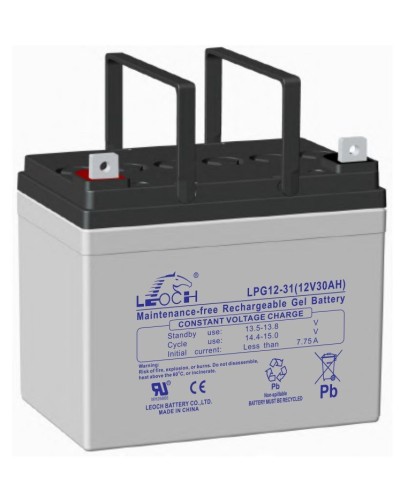 LEOCH LPG 12-31. Аккумулятор герметичный свинцово-кислотный. LEOCH в Грозном