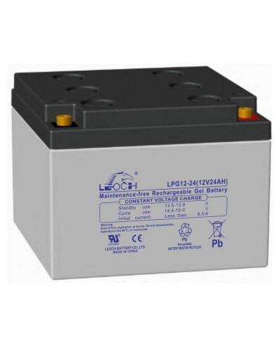 LEOCH LPG 12-24. Аккумулятор герметичный свинцово-кислотный. LEOCH в Грозном