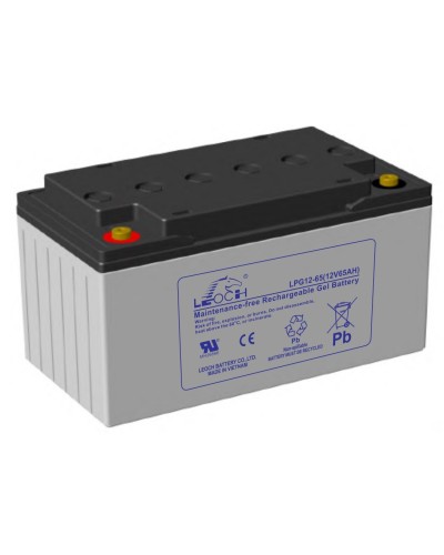 LEOCH LPG 12-65. Аккумулятор герметичный свинцово-кислотный. LEOCH в Грозном