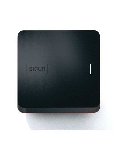 Sigur MR100 Multi. Считыватель. SIGUR в Грозном