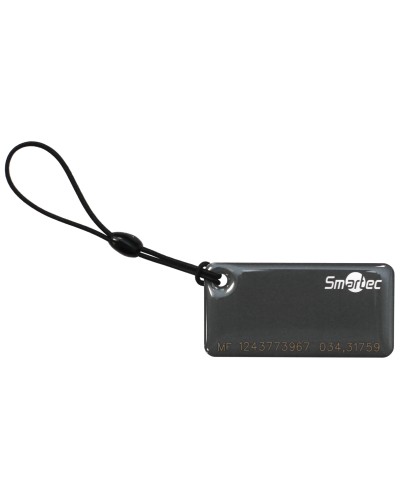 ST-PT015MF-GR. Брелок. Smartec в Грозном