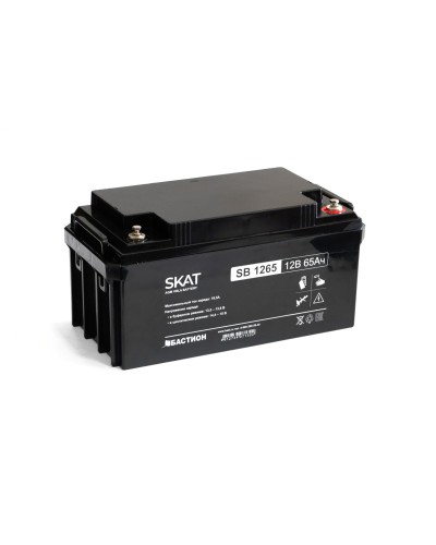 SKAT SB 1265 (2541). Аккумулятор герметичный свинцово-кислотный. Бастион в Грозном