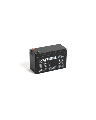 SKAT SB 1209 (2540). Аккумулятор герметичный свинцово-кислотный. Бастион в Грозном