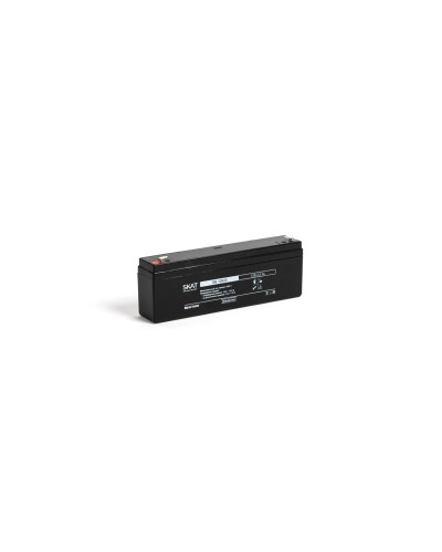 SKAT SB 12022 (2539). Аккумулятор герметичный свинцово-кислотный. Бастион в Грозном
