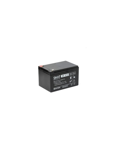 SKAT SB 1212 (2535). Аккумулятор герметичный свинцово-кислотный. Бастион в Грозном